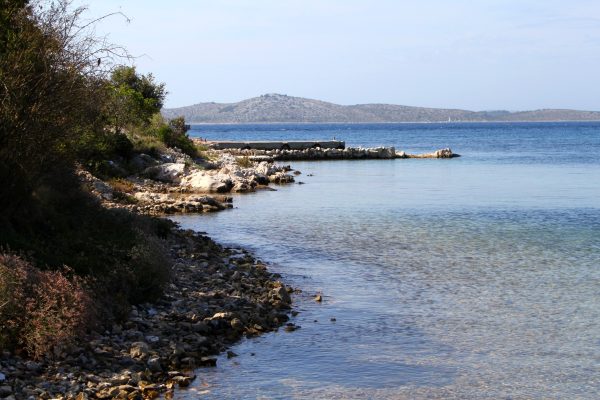 Kobiljak - photo 5