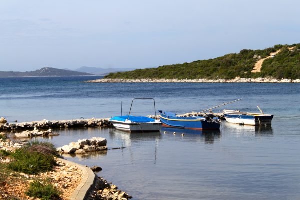 Kobiljak - photo 6