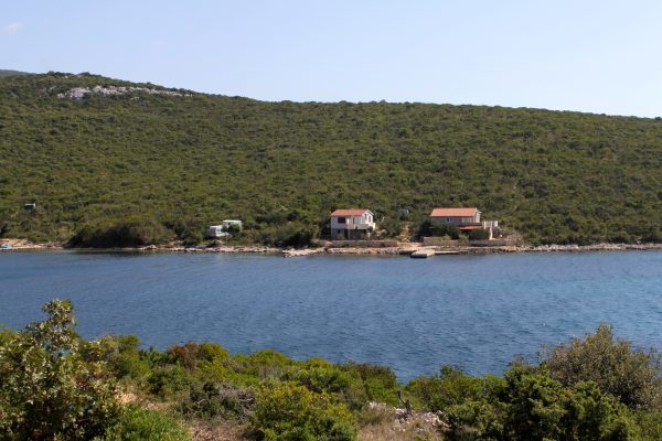 Kobiljak - photo 7