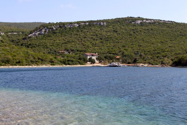 Kobiljak - photo 8