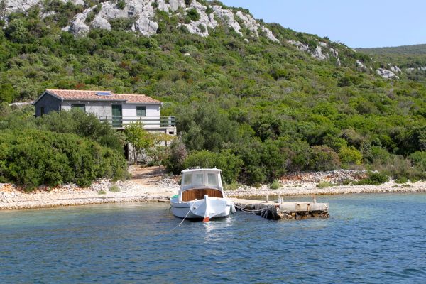 Kobiljak - photo 9
