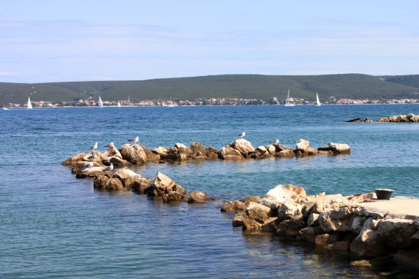 Neviđane - photo 10