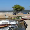Neviđane - photo 7
