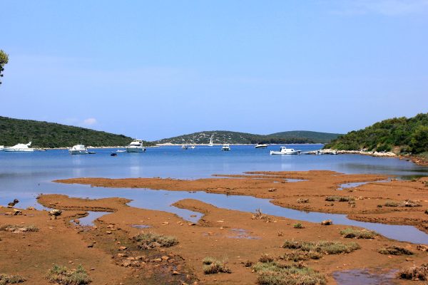 Soline - photo 10