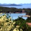 Soline - photo 12