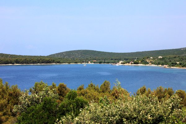 Soline - photo 14