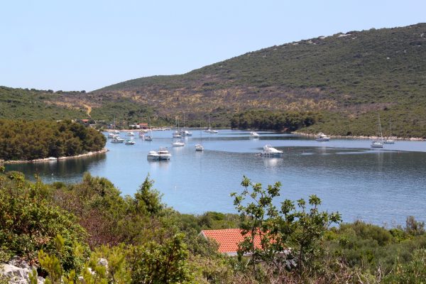 Soline - photo 2