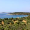 Soline - photo 4