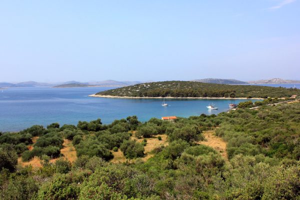 Soline - photo 4