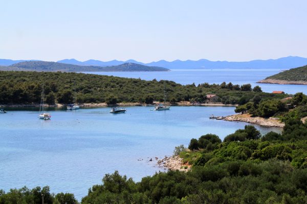 Soline - photo 5