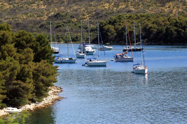 Soline - photo 7