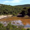 Soline - photo 9