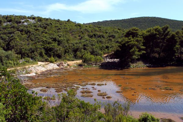Soline - photo 9