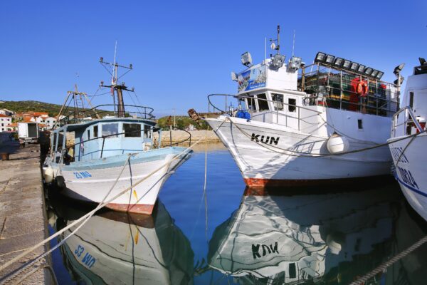 Tkon - photo 17