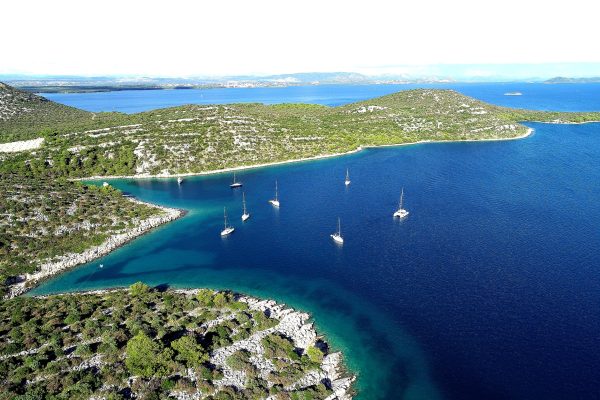 Triluke - photo 4