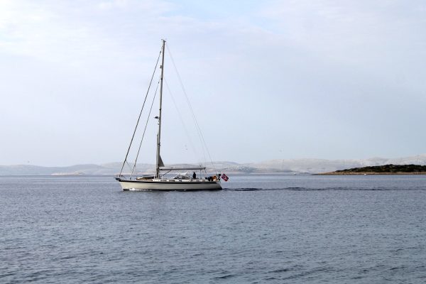 Vitane - photo 11