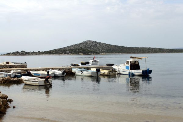 Vitane - photo 2