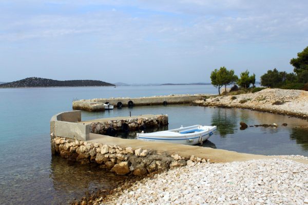 Vitane - photo 3