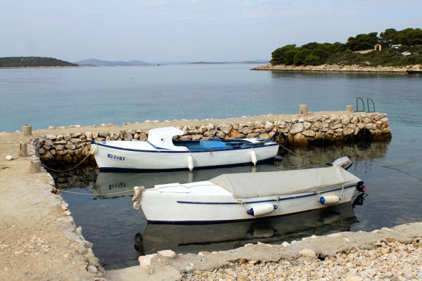 Vitane - photo 7