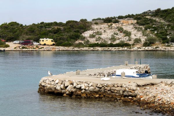 Vitane - photo 8