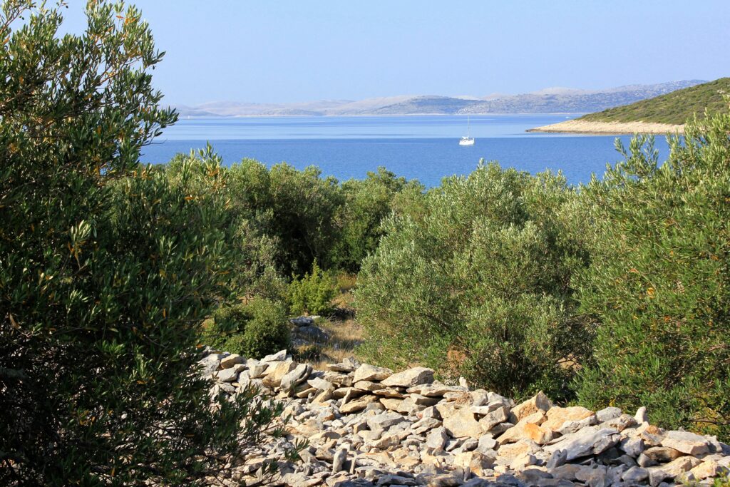Dalmatia Pasman Zincena Croatia
