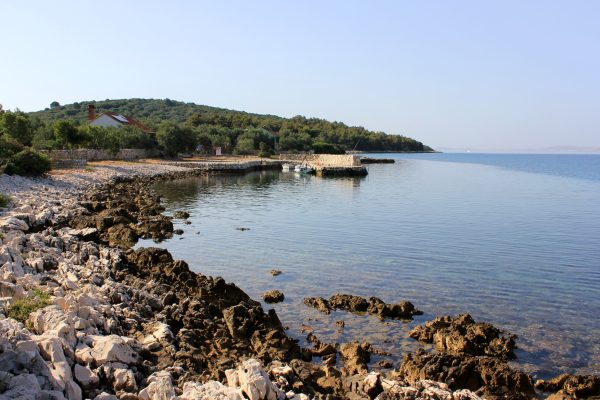 Žinčena - photo 2