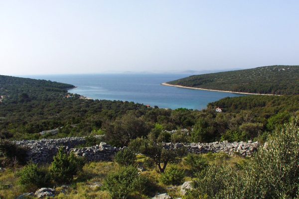Žinčena - photo 8