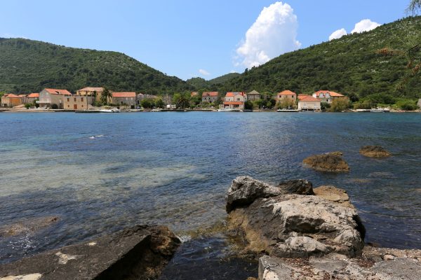 Broce - photo 2