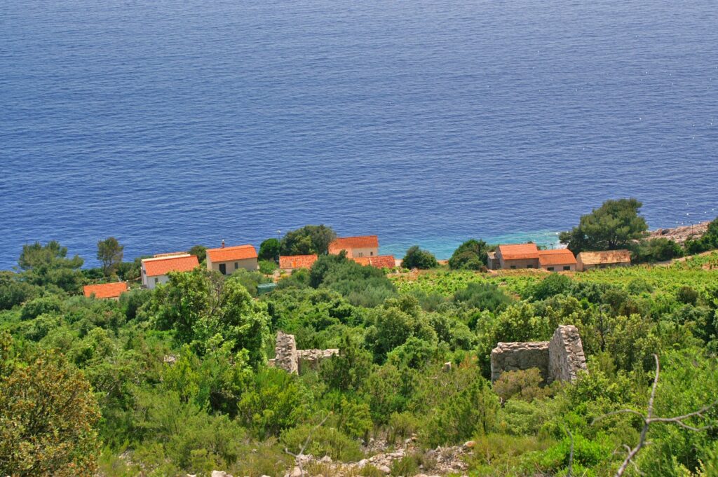 Dalmatia Peljesac Dingac Potocine Croatia