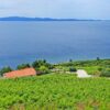 Dingač – Pristranj - photo 13
