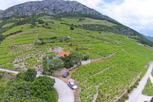 Dingač – Pristranj - photo 2
