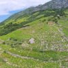 Dingač – Pristranj - photo 4