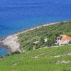 Dingač – Pristranj - photo 6