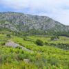Dingač – Pristranj - photo 7