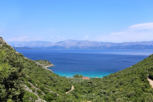 Divna - photo 2