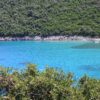 Divna - photo 6