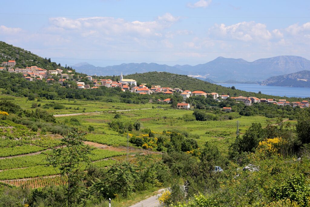 Dalmatia Peljesac Janjina Croatia