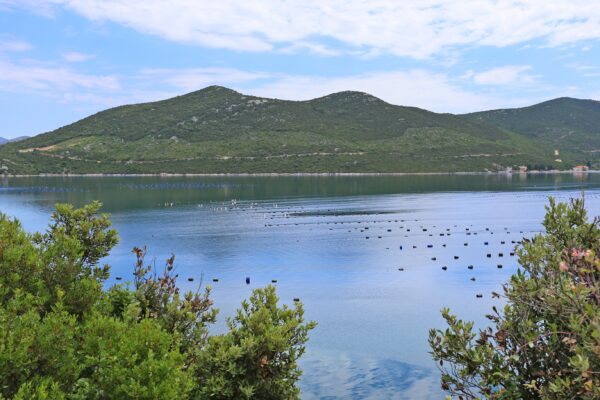Kabli - photo 3