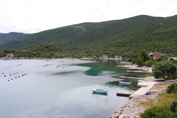 Kabli - photo 5
