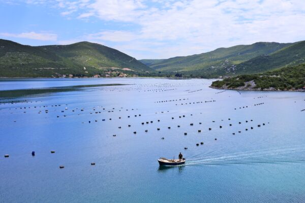 Kabli - photo 7