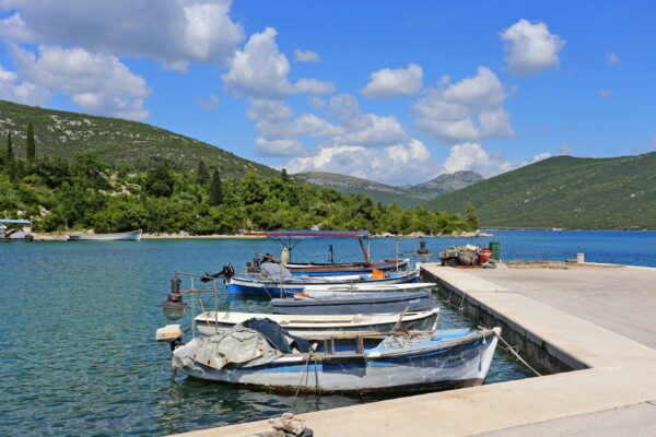 Luka - photo 13