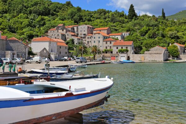 Luka - photo 5