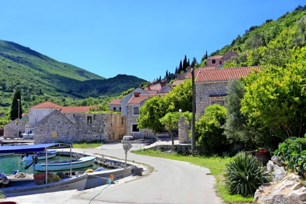 Luka - photo 7