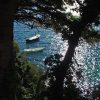 Prapratno - photo 7