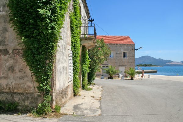 Sreser - photo 10