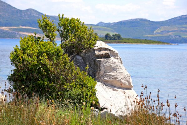 Sreser - photo 19