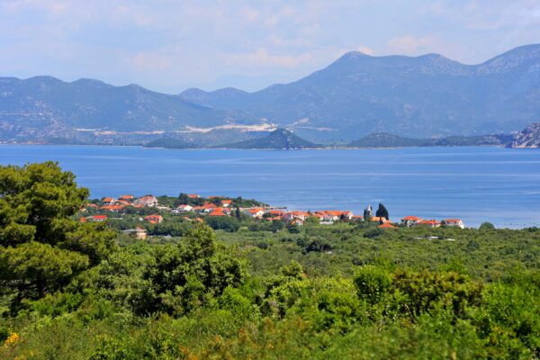 Sreser - photo 27