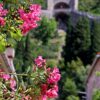 Ston - photo 10