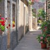Ston - photo 19