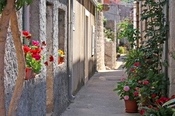 Ston - photo 19